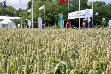 ZMO Başkanı Turhan Tuncer: Dünya tarımda büyük kaos bekliyor
