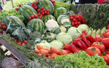 ZMO Başkanı Turhan Tuncer: Dünya tarımda büyük kaos bekliyor