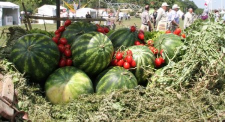 ZMO Başkanı Turhan Tuncer: Dünya tarımda büyük kaos bekliyor