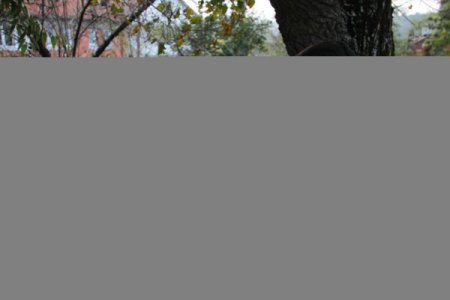 Zonguldaklı Şaban dede, 99 sene sonra şehit çocuğu olduğunu öğrendi