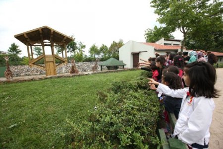 Zürafalara Uludağ'dan Özel Diyet