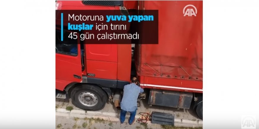 Motoruna yuva yapan kuşlar için tırını 45 gün çalıştırmadı