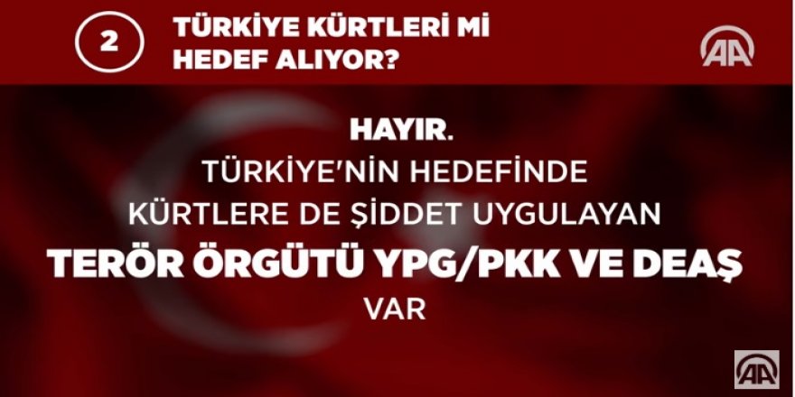 Türkiye Barış Pınarı Harekatı'nı neden başlattı?