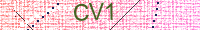 Güvenlik Resmi