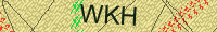 Güvenlik Resmi